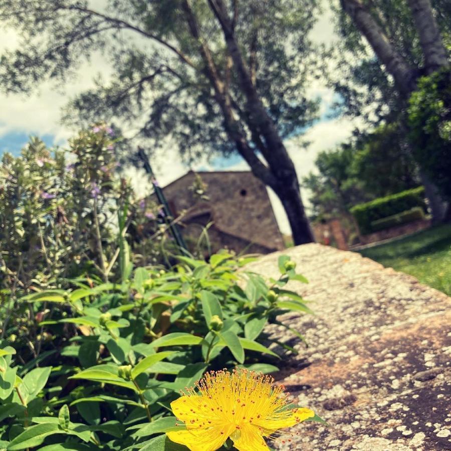 Podere La Chiusella B&B Rapolano Terme Luaran gambar