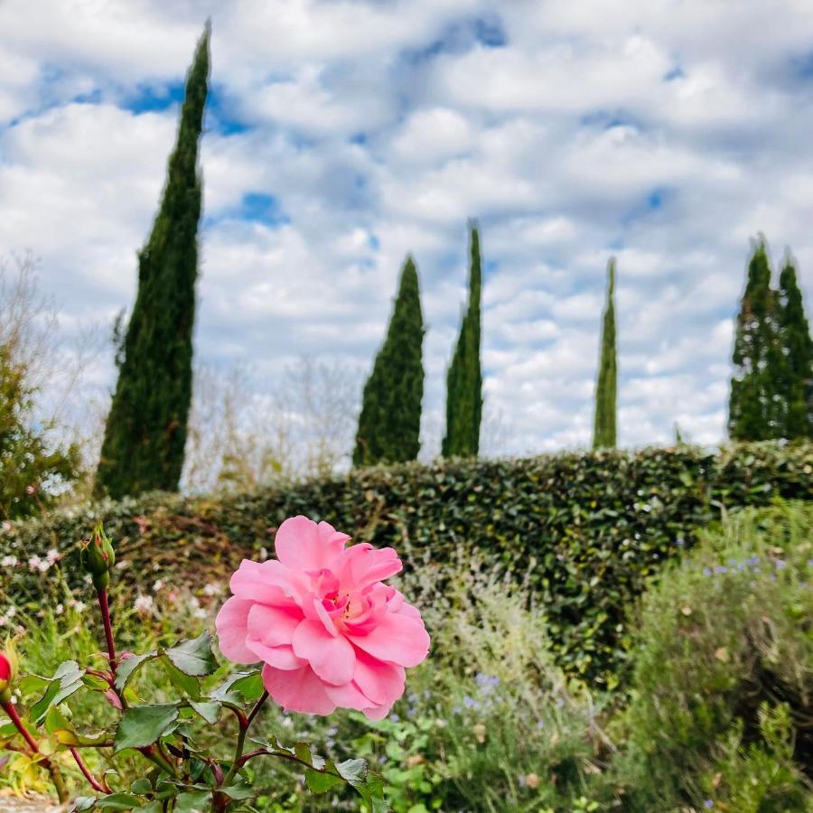 Podere La Chiusella B&B Rapolano Terme Luaran gambar